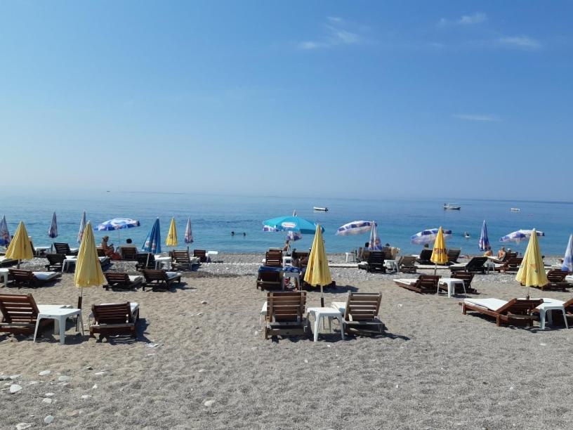Family Apartment Garden And Sea Petrovac Bagian luar foto