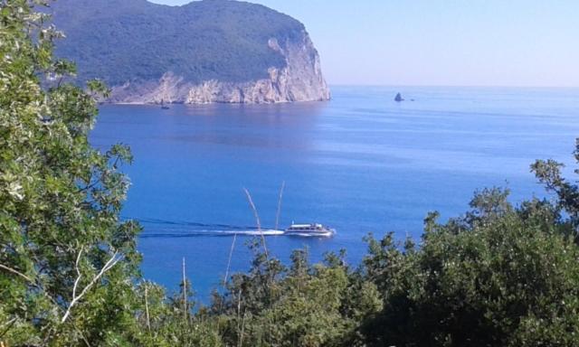 Family Apartment Garden And Sea Petrovac Bagian luar foto